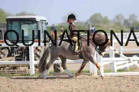 LOT-1378