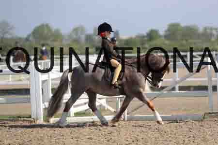 LOT-1379