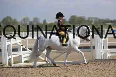 LOT-1381