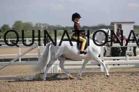 LOT-1382