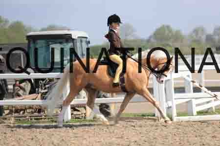 LOT-1383
