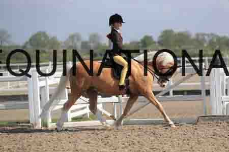 LOT-1384