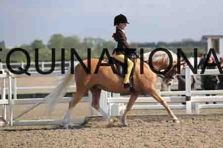 LOT-1385