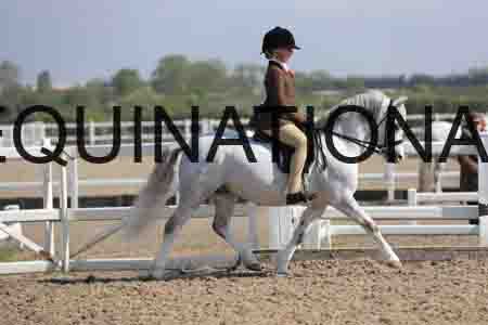 LOT-1387