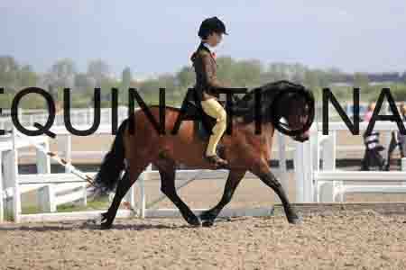 LOT-1388