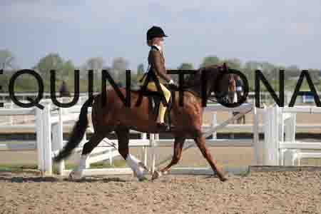 LOT-1390