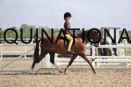 LOT-1391