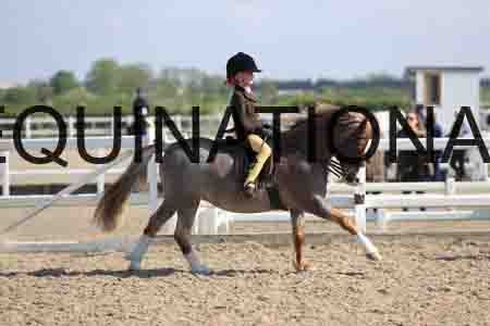 LOT-1393