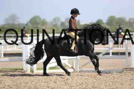 LOT-1394