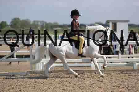 LOT-1396