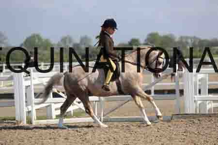 LOT-1397