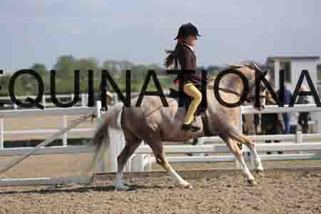 LOT-1398