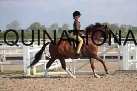 LOT-1399