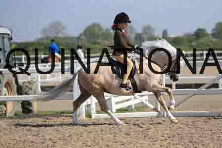 LOT-1401