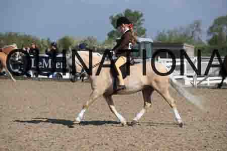 LOT-1405