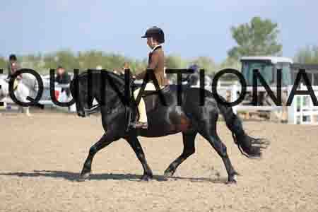 LOT-1409