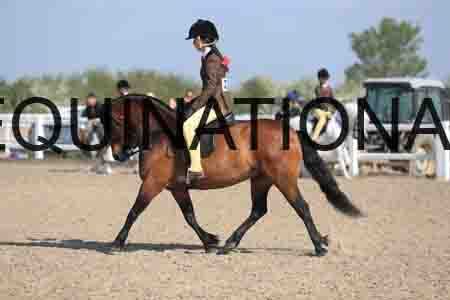 LOT-1411