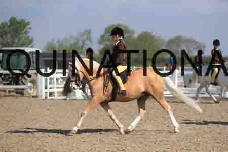 LOT-1412