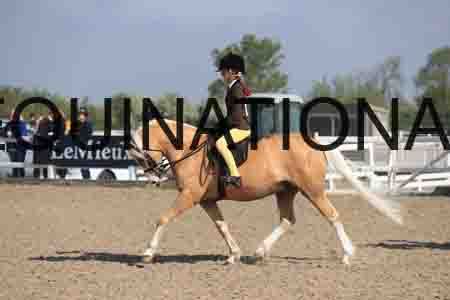 LOT-1413