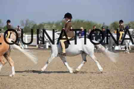 LOT-1414