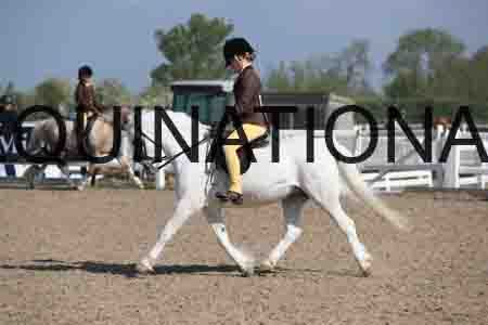 LOT-1416