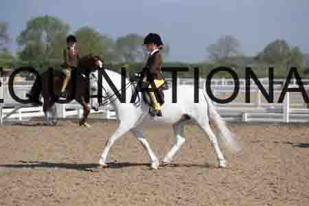 LOT-1419