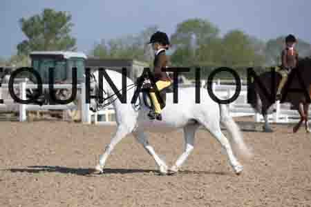 LOT-1420