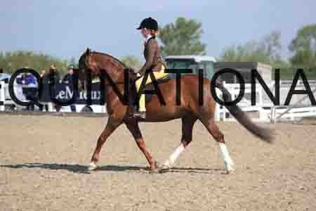 LOT-1423