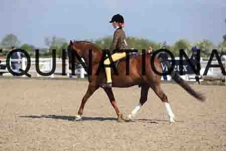 LOT-1424