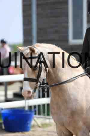 LOT-1431