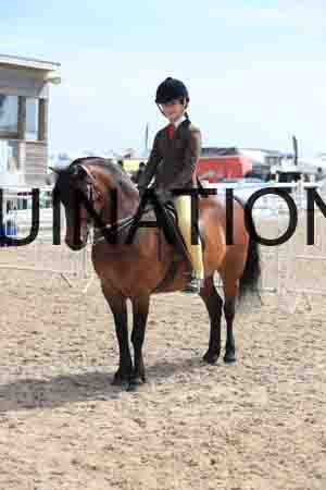 LOT-1433