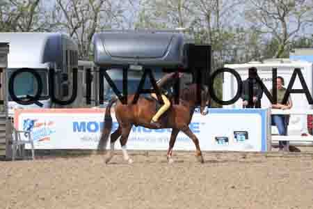 LOT-1472
