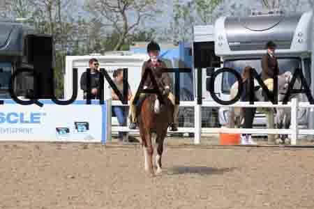 LOT-1475