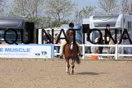 LOT-1476
