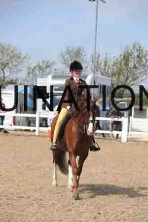LOT-1479