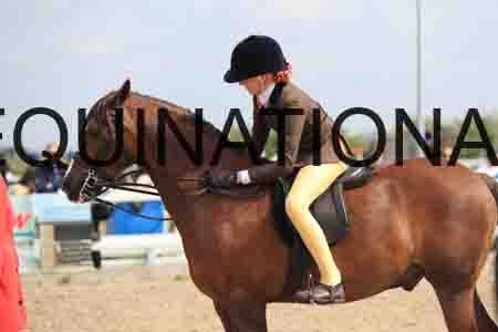 LOT-1482