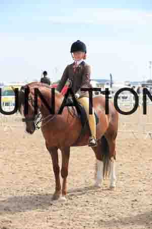 LOT-1487