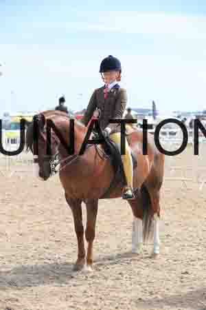 LOT-1488