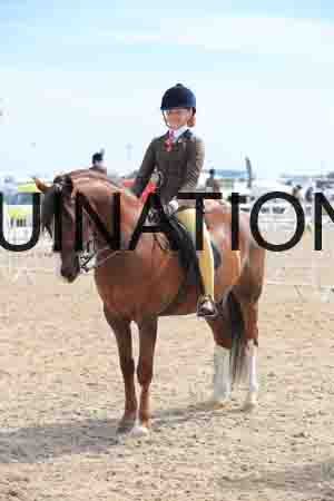 LOT-1489