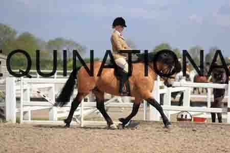 LOT-1498