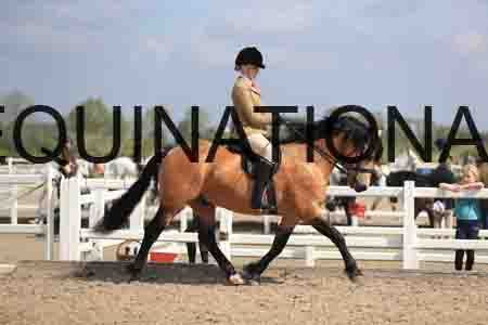 LOT-1499