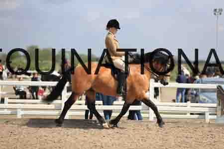 LOT-1500