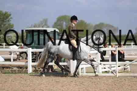 LOT-1501