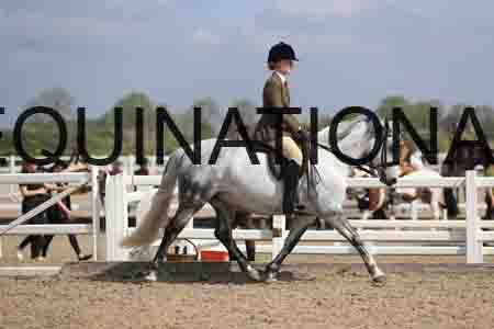 LOT-1503