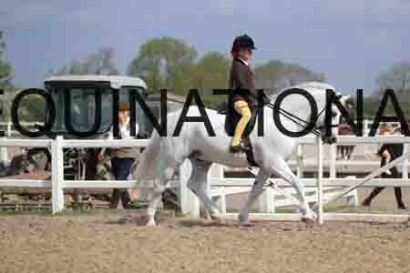 LOT-1504