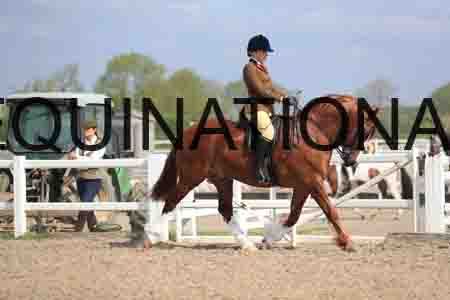 LOT-1507