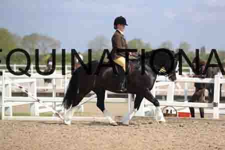 LOT-1511