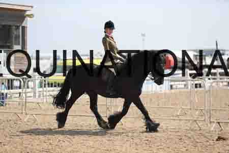 LOT-1512