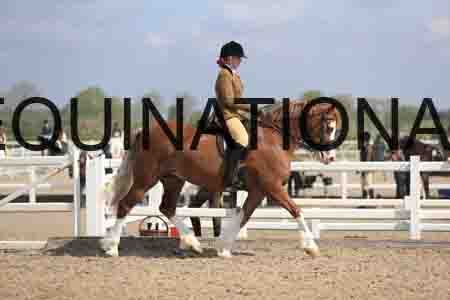 LOT-1513