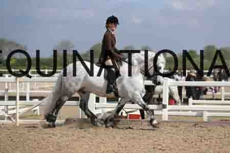LOT-1519